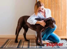 Specialized Care for Specific Dog Populations