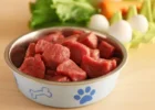 Are raw diets safe and healthy for dogs