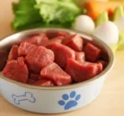 Are raw diets safe and healthy for dogs