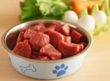 Are raw diets safe and healthy for dogs